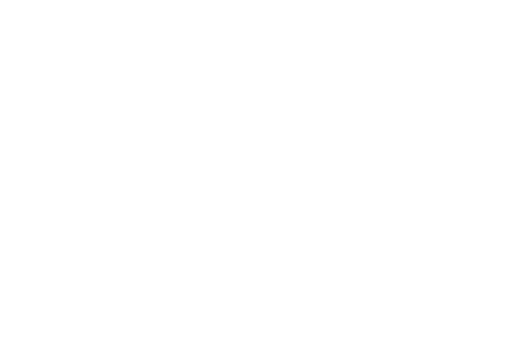 managed system support background